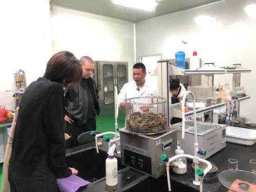 科技賦能農(nóng)業(yè)新篇章 CCTV 1聚焦云谷田園LED植物工廠，珍稀本草金線蓮成功培育引領(lǐng)生物技術(shù)新服務(wù)