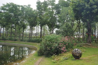 匠心筑綠場，活力映荊楚——2017年度湖北省體育場地設(shè)施優(yōu)質(zhì)工程巡禮